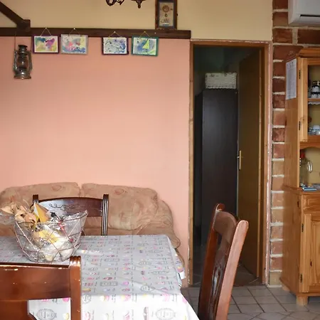 Radnic Apartment