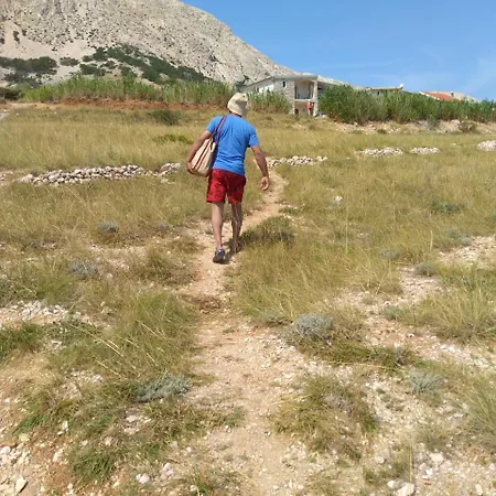 Apartman Radnic